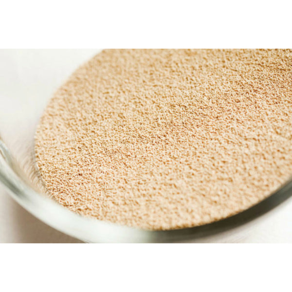 Bakers Yeast | 150g