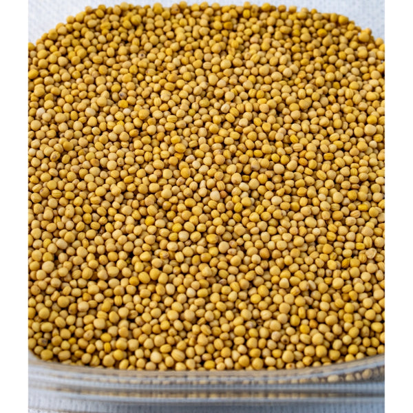 Yellow Mustard Seeds Organic | 100g